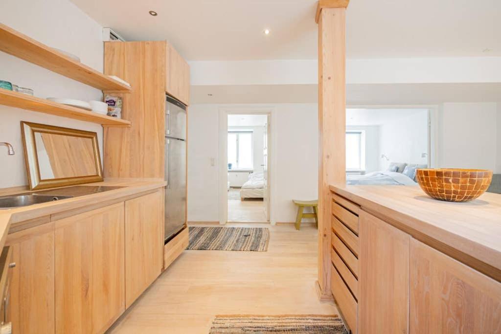 Spacious Flat In A Central, But Calm Area Of Cph Appartement Copenhague