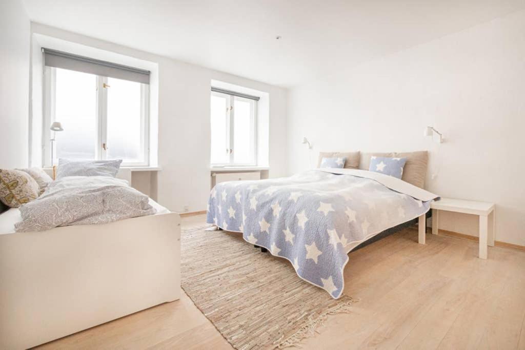 Spacious Flat In A Central, But Calm Area Of Cph